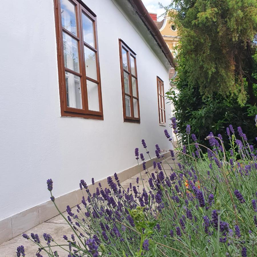 Corte Apartman Pápa Exteriér fotografie